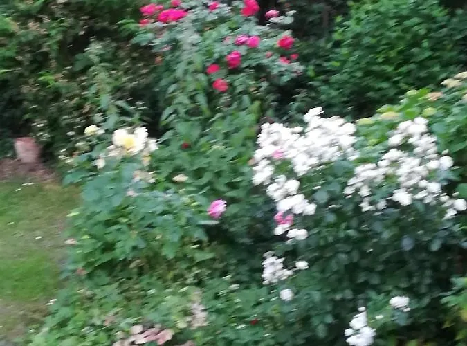 Privat bolig Alsterdorf Hamborg