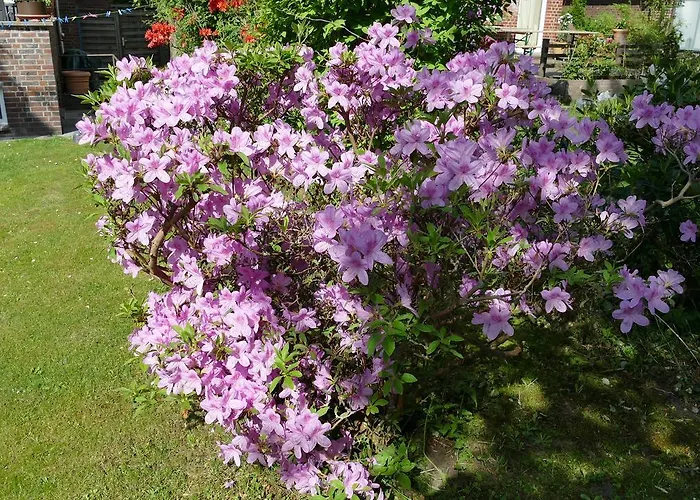 Alsterdorf Hamborg